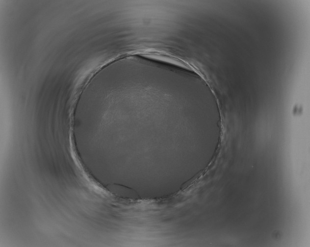 X0000113620097200910021838