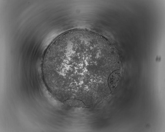 X0000113620098200910021838