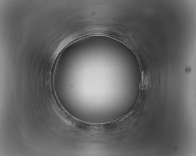 X0000113620099200910021838