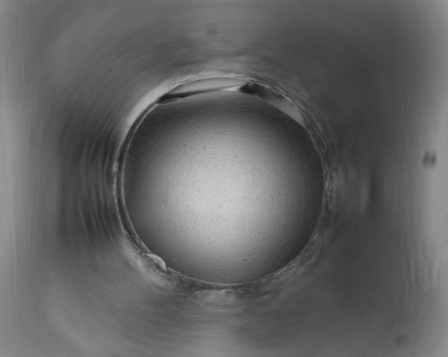 X0000113620100200910021838