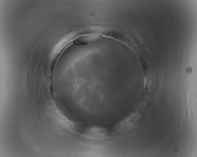 X0000113620101200910021838