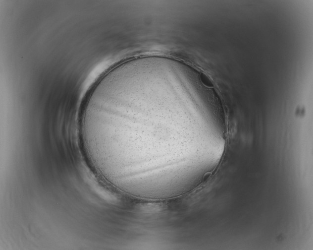 X0000113620102200910021838