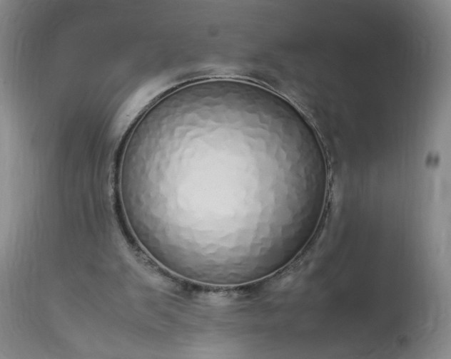 X0000113620103200910021838