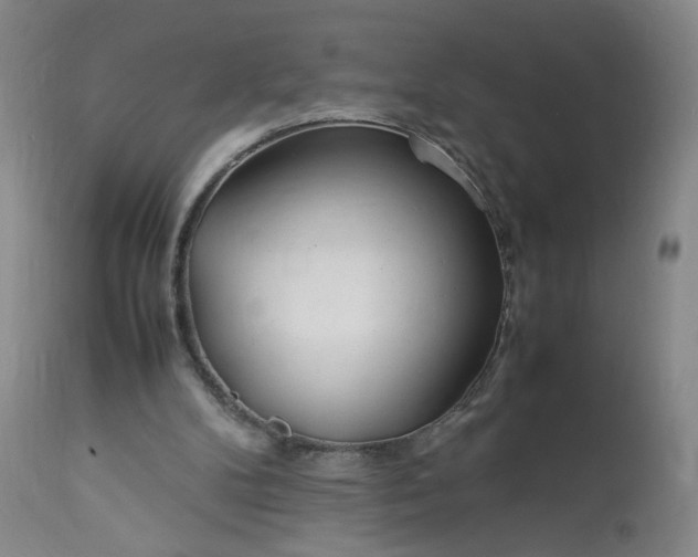 X0000113620104200910021838