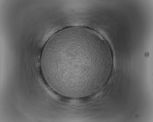 X0000113620105200910021838