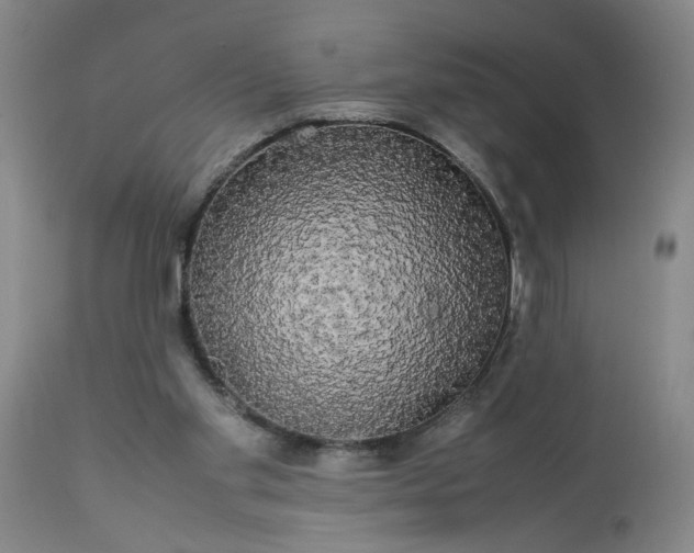 X0000113620109200910021838