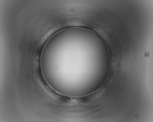 X0000113620111200910021838