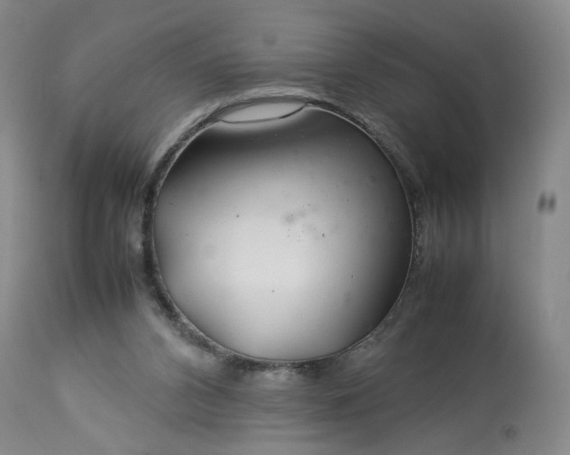 X0000113620112200910021838