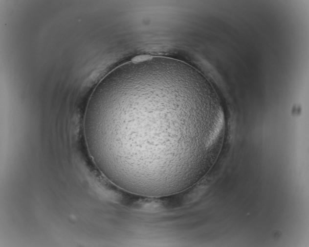 X0000113620113200910021838