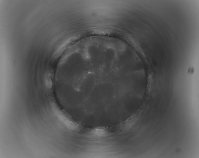 X0000113620114200910021838