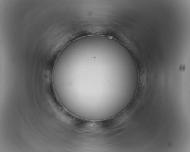 X0000113620117200910021838