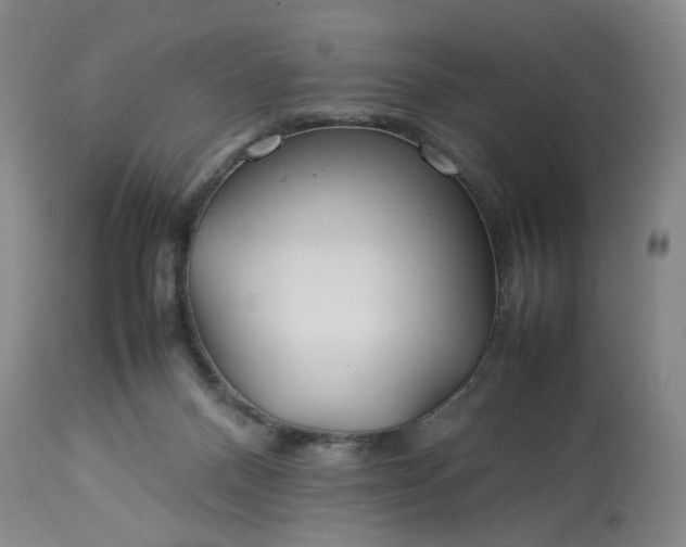 X0000113620120200910021838