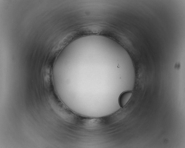 X0000113620122200910021838