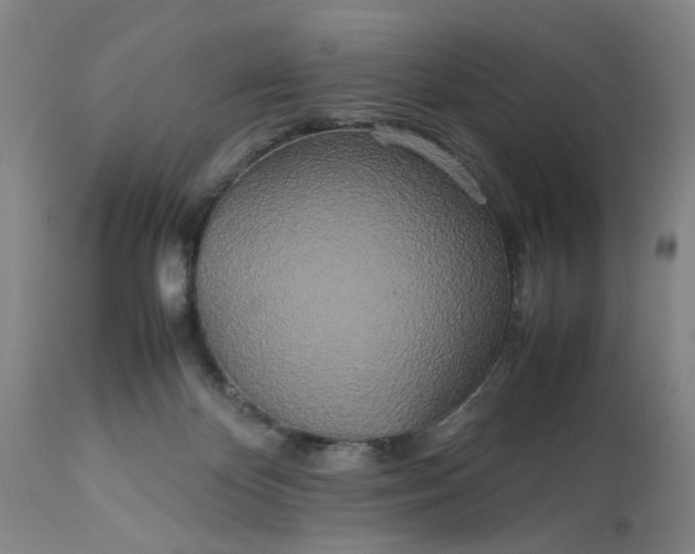 X0000113620124200910021838