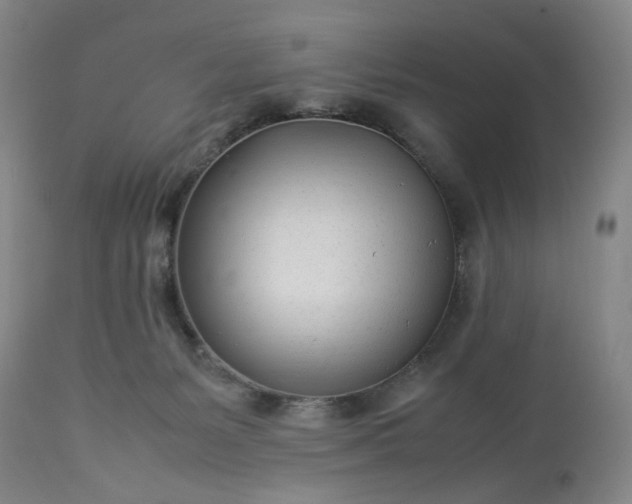 X0000113620127200910021838