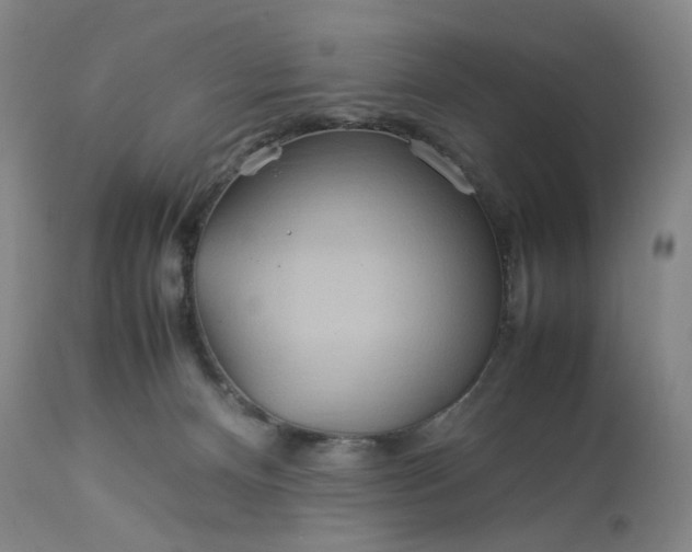 X0000113620128200910021838