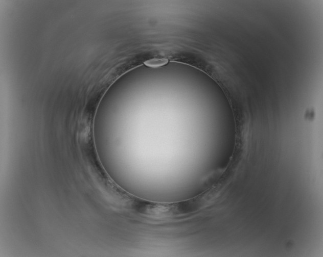 X0000113620129200910021837