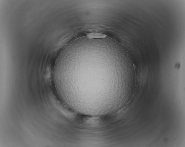 X0000113620132200910021837