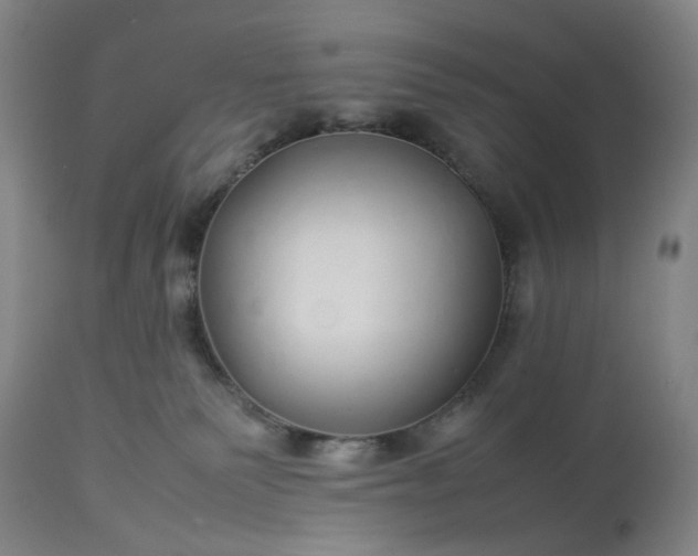 X0000113620135200910021837