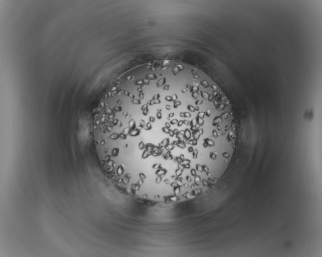 X0000113620138200910021837