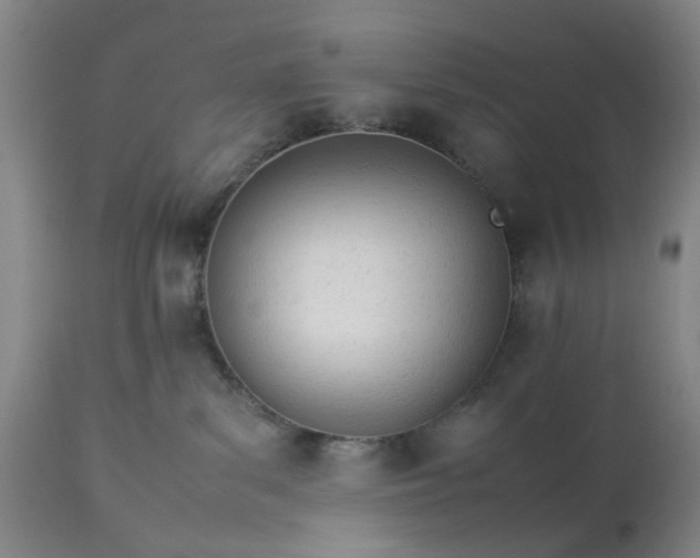 X0000113620139200910021837