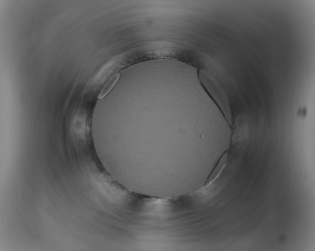 X0000113620140200910021837