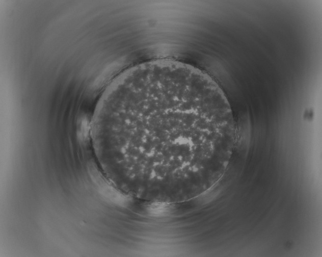 X0000113620142200910021837