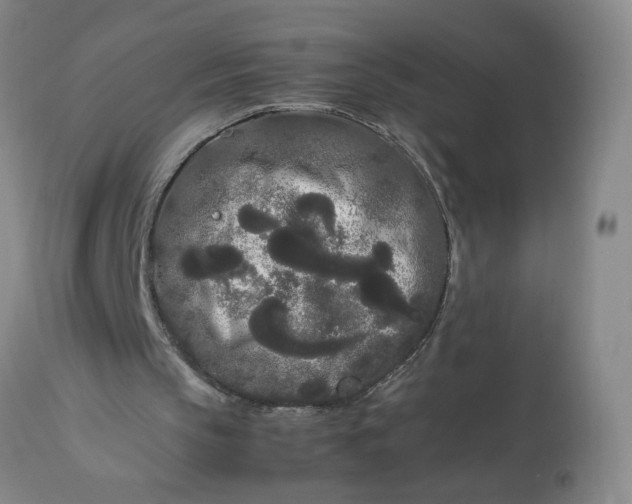 X0000113620145200910021837