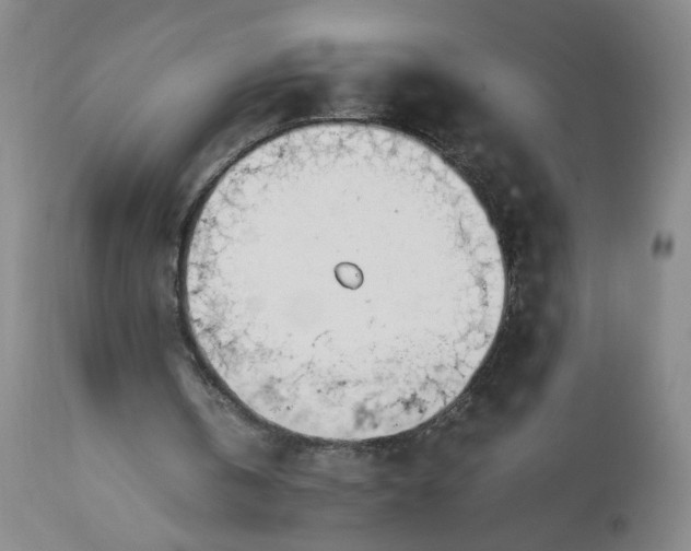 X0000113620146200910021837