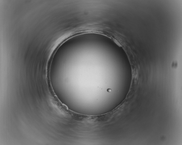 X0000113620148200910021837