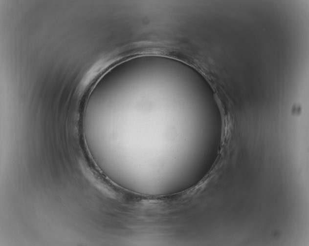 X0000113620150200910021837