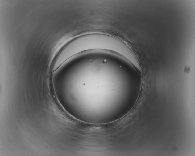 X0000113620152200910021837