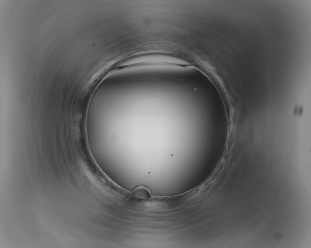 X0000113620154200910021837