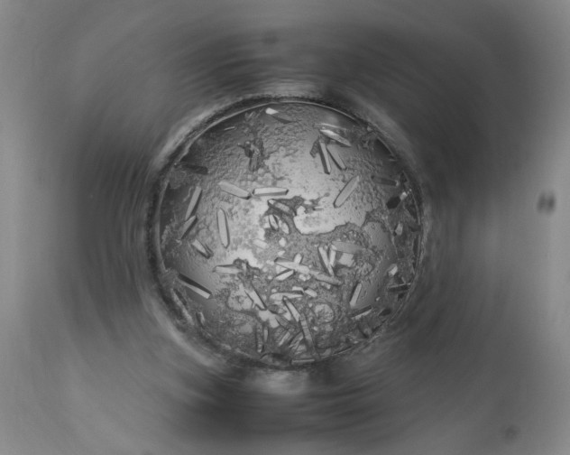 X0000113620155200910021837