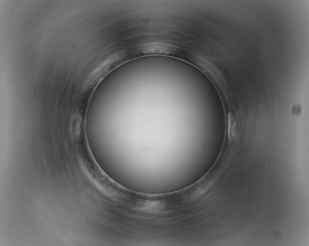 X0000113620157200910021837