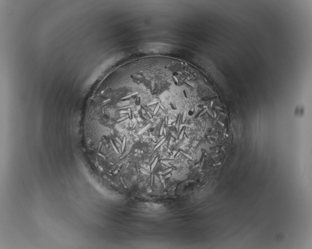 X0000113620159200910021837