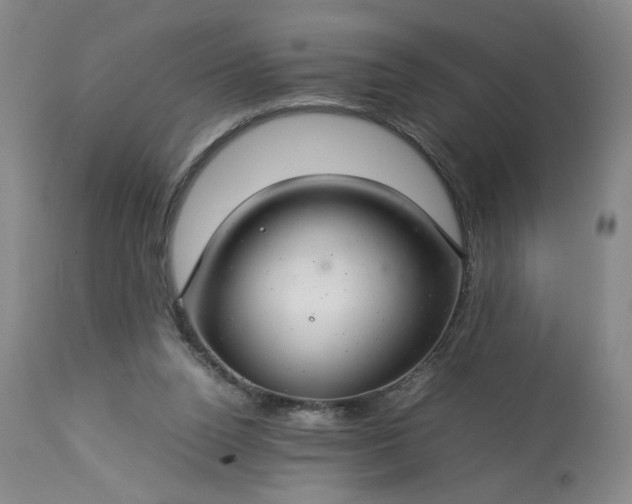 X0000113620160200910021837