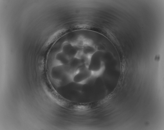 X0000113620163200910021837