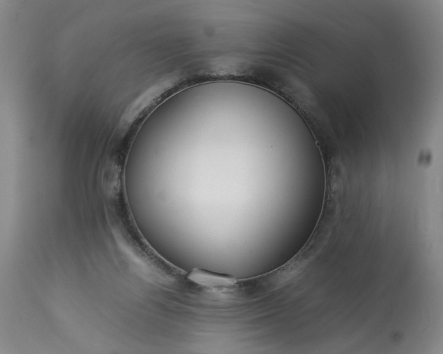 X0000113620164200910021837