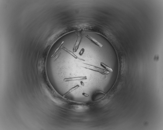 X0000113620165200910021837