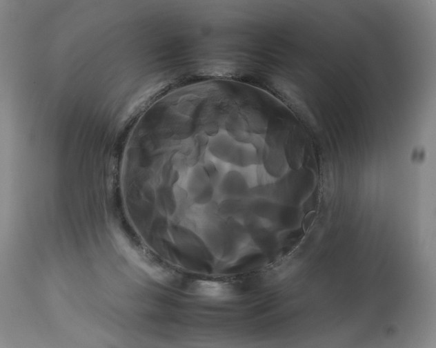 X0000113620167200910021837