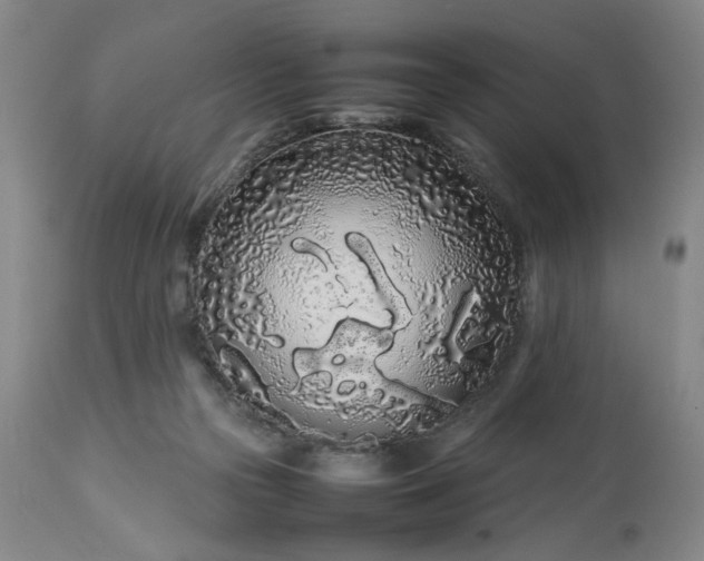 X0000113620169200910021837