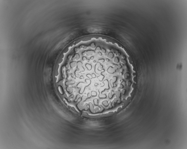 X0000113620171200910021837