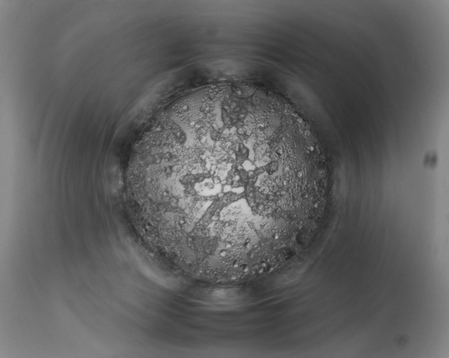 X0000113620173200910021837