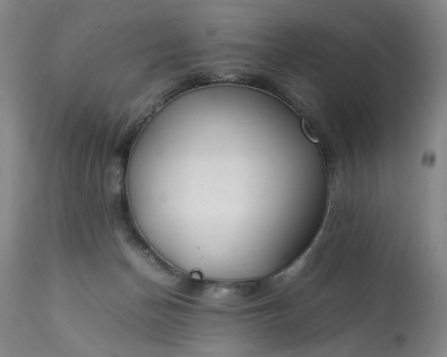 X0000113620174200910021837