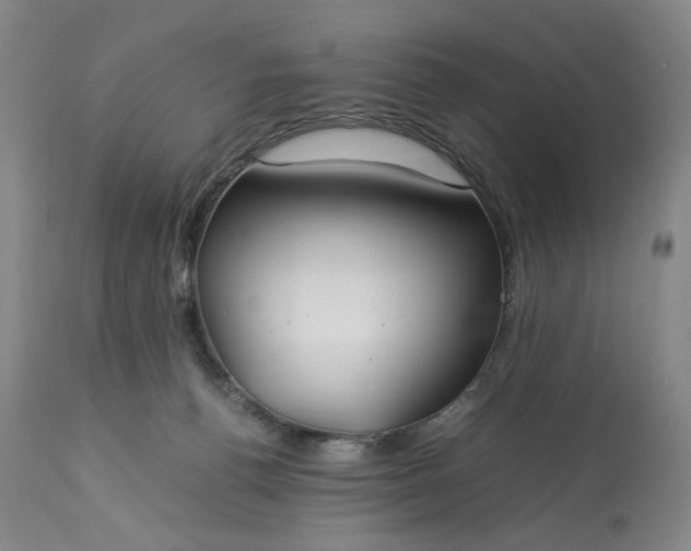 X0000113620176200910021837