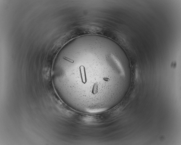 X0000113620177200910021837