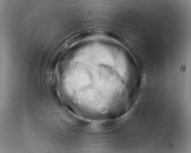 X0000113620178200910021837