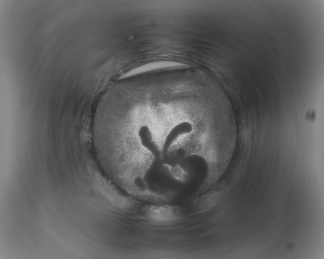 X0000113620181200910021837