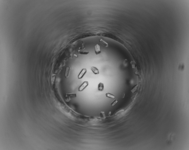 X0000113620182200910021837